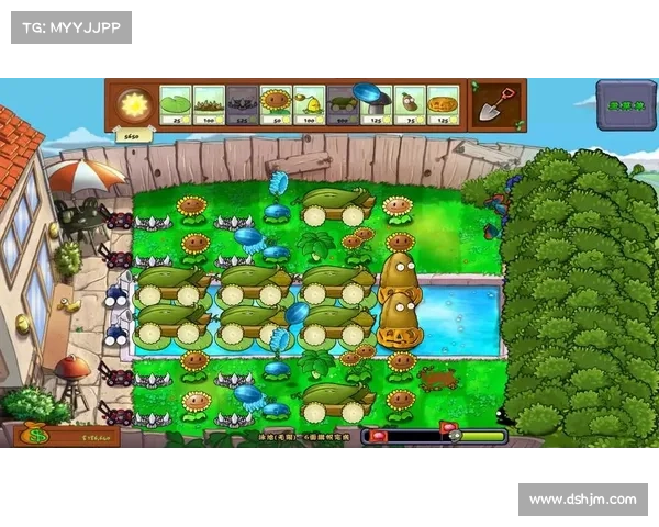 植物大战僵尸单机版:全屏尽享无尽战斗 植物大战僵尸单机版:全屏尽享无尽战斗